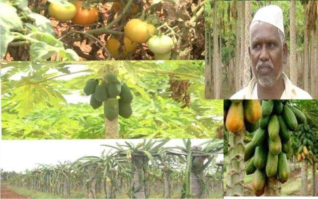 ಟೋಟಿ ಕೋಟಿ ಲಾಭ