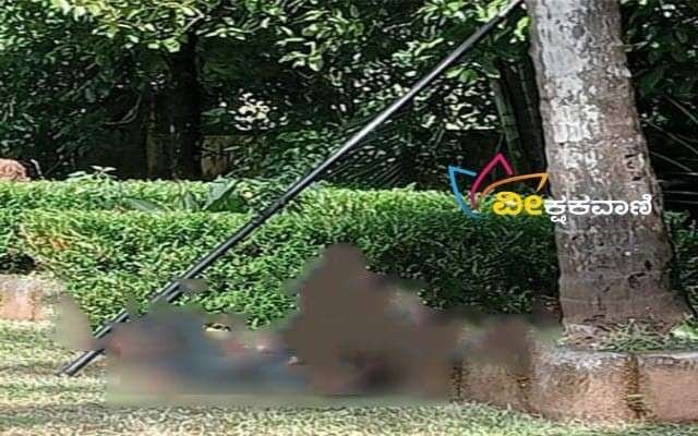 ಅಡಿಕೆ ತೆಗೆಯುವ ವೇಳೆ ಕರೆಂಟ್ ಶಾಕ್ ಹೊಡೆದು ಯುವಕ ಸಾವನ್ನಪ್ಪಿದ ಘಟನೆ ನಡೆದಿದೆ.