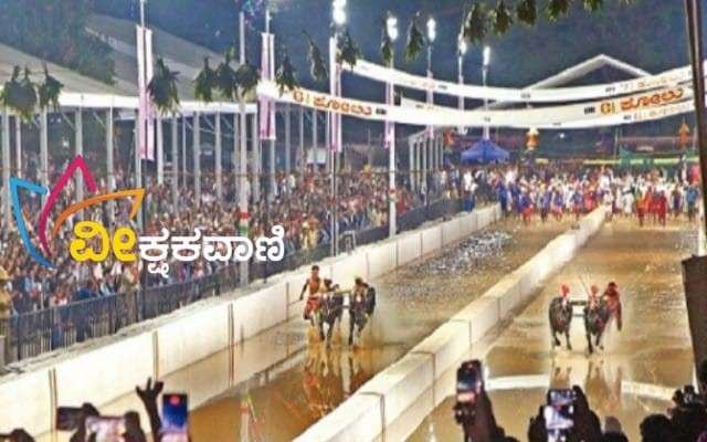 'ರಾಜ -ಮಹಾರಾಜ' ಜೋಡುಕರೆ ಕಂಬಳಕ್ಕೆ ಸಂಭ್ರಮದ ತೆರೆ.