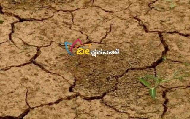 ಬರ ಪೀಡಿತ ತಾಲೂಕುಗಳ ನಿರ್ವಹಣೆಗಾಗಿ ಸರ್ಕಾರ ರಾಜ್ಯದ ಎಲ್ಲಾ ತಾಲೂಕುಗಳಿಗೆ ಅನುದಾನವನ್ನು ಬಿಡುಗಡೆಗೊಳಿಸಿ ಆದೇಶ ಮಾಡಿದೆ.