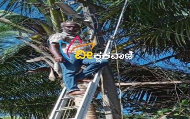 ಕೆಟ್ಟುಹೋದ ಬೀದಿ ದೀಪಗಳನ್ನು ವಾರ್ಡ್ ಸದಸ್ಯೆ ಜಯಲಕ್ಷ್ಮಿ ಭಟ್ ರವರ ಉಪಸ್ಥಿತಿಯಲ್ಲಿ ಗುತ್ತಿಗೆ ದಾರ ದುರಸ್ಥಿಗೊಳಿಸಿದರು.