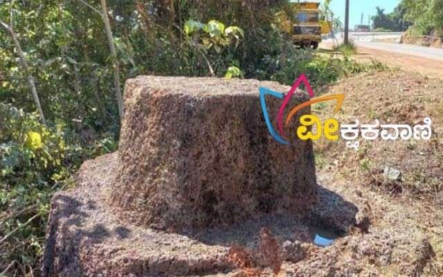 ಕೆತ್ತಿಕಲ್ ಎಂಬಲ್ಲಿ ಸ್ಥಳದ ಹೆಸರು ಬರಲು ಕಾರಣ ಎನ್ನಲಾದ ಕಲ್ಲು ಪತ್ತೆಯಾಗಿದೆ.