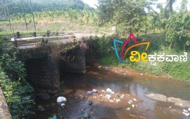 ಅಪಾಯದಂಚಿನಲ್ಲಿರುವ ಗುರಿಪಳ್ಳ ತಾರಗಂಡಿ ಸೇತುವೆ