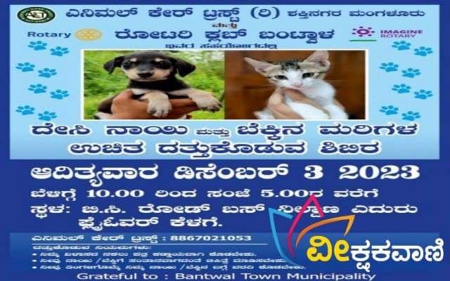 ಬಿ.ಸಿ ರೋಡಿನಲ್ಲಿ ದೇಸಿ ತಳಿಯ ನಾಯಿ ಮತ್ತು ಬೆಕ್ಕು ಮರಿಗಳನ್ನು ಉಚಿತವಾಗಿ ದತ್ತು ನೀಡಲಿದ್ದಾರೆ.