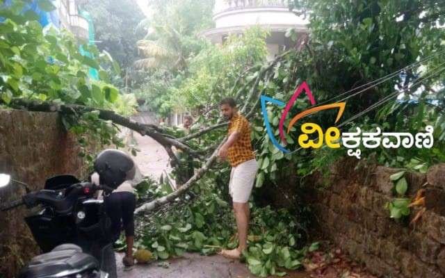 ಮಳೆಗೆ ಮರಬಿದ್ದು ವಿದ್ಯುತ್ ಕಂಬ ಹಾನಿ