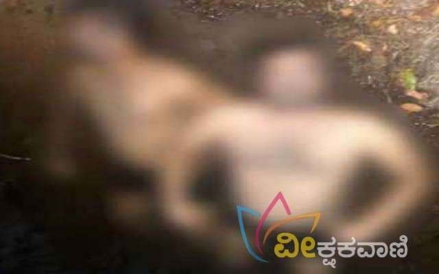 ಸೀತಾನದಿ ಹೊಳೆಗೆ ಸ್ನಾನಕ್ಕೆಂದು ಇಳಿದ ಇಬ್ಬರು ಮುಳುಗಿ ಮೃತಪಟ್ಟ ಘಟನೆ ನಡೆದಿದೆ.