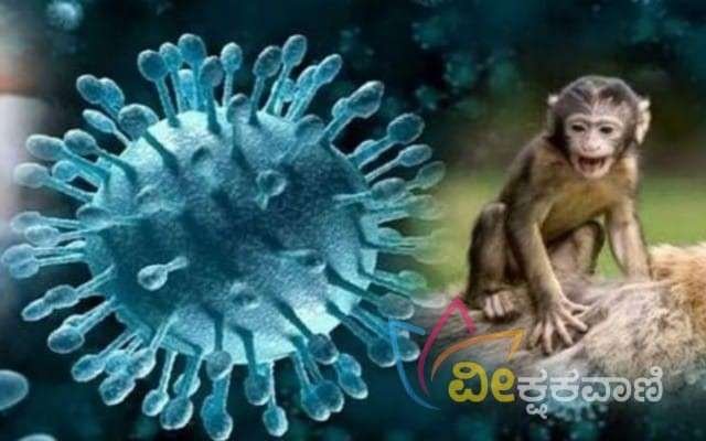 ಉತ್ತರ ಕನ್ನಡ ಜಿಲ್ಲೆಯಲ್ಲಿ ಮಂಗನ ಕಾಯಿಲೆ ಪ್ರಕರಣ ಏರಿಕೆ