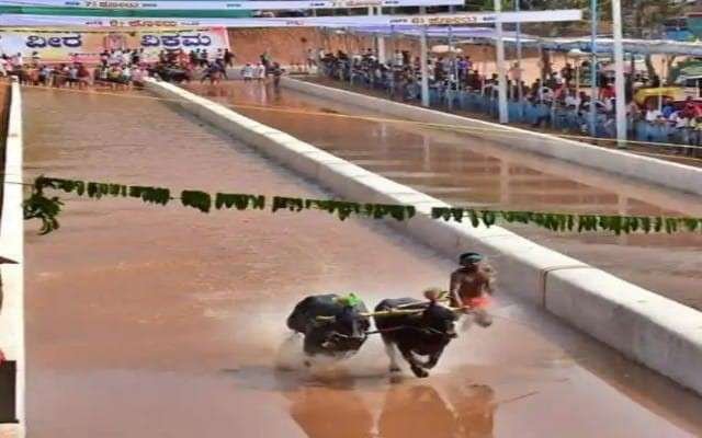 ಬಂಟ್ವಾಳದ ಹೋಕ್ಕಾಡಿಗೋಳಿಯಲ್ಲಿ ನಡೆದ ವೀರ-ವಿಕ್ರಮ ಕಂಬಳಗಳು ಸಂಪನ್ನ