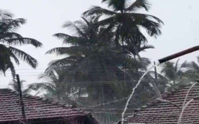 ದ.ಕ. ಜಿಲ್ಲೆಯ ಹಲವೆಡೆ ತಂಪೆರೆದ ಮಳೆರಾಯ