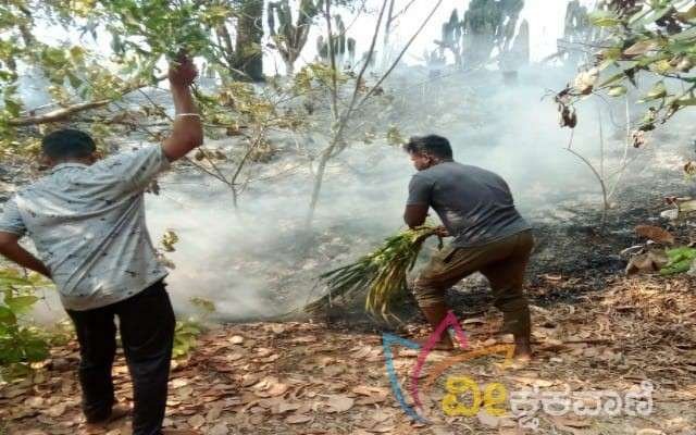 ಬೆಂಕಿ ಮತ್ತು ಹೊಗೆ ಕಾಣಿಸಿಕೊಂಡ ಹಿನ್ನೆಲೆಯಲ್ಲಿ ಸ್ಥಳೀಯ ಯುವಕರು ಬೆಂಕಿನಂದಿಸುವ ಕಾರ್ಯ ಮಾಡಿದ್ದಾರೆ.