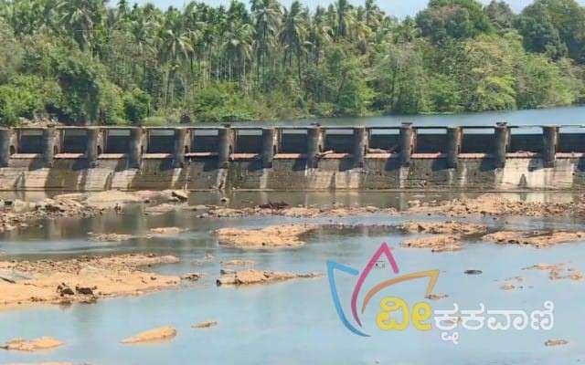 ಜೀವನದಿ ಸ್ವರ್ಣೆಯೂ ಬಿಸಿಲಿನ ತಾಪಕ್ಕೆ ಬಸವಳಿದಿದ್ದು ಒಳಹರಿವು ಕ್ಷೀಣಿಸುತ್ತಿದೆ.